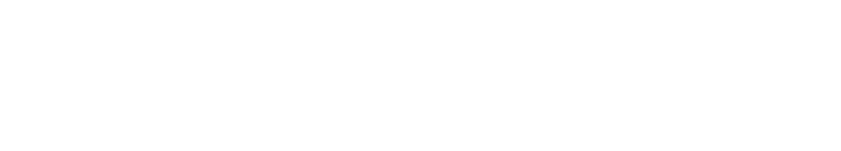 Sponsor